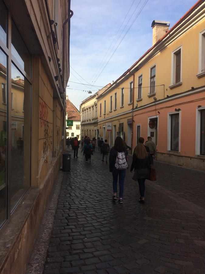 Casa Roz Cluj-Napoca